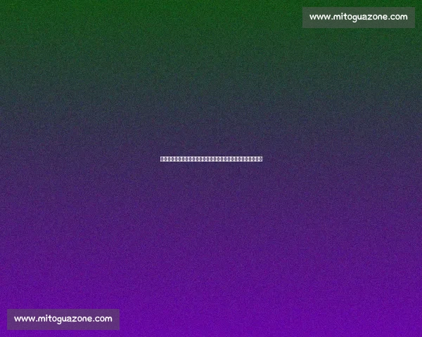 奎维利对阵布尔格关键之战前瞻与胜负走势解析全面战术较量看点